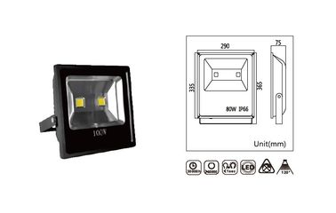 100w Ip65 integró ángulo de haz llevado al aire libre brillante estupendo de las luces de inundación 120°